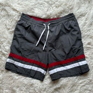 Merona Men’s Striped Bathing Suit Size Large Gray Red